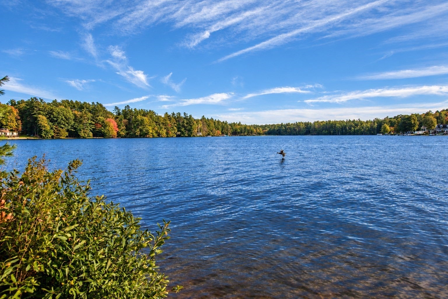64 Lakeshore Dr, Ashburnham, MA Photo #39