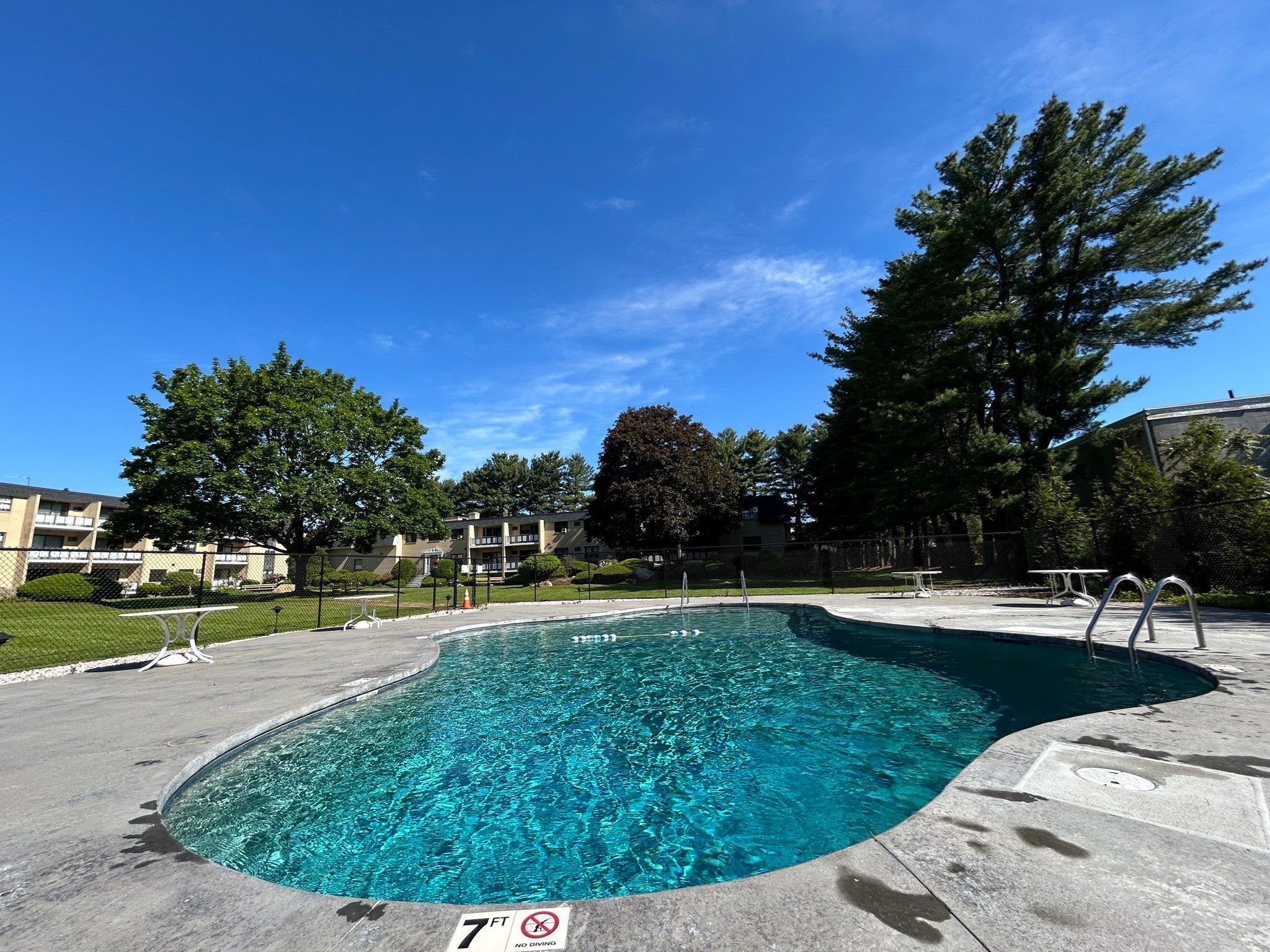 56 Bigelow Ave #12, Watertown, MA Photo #3