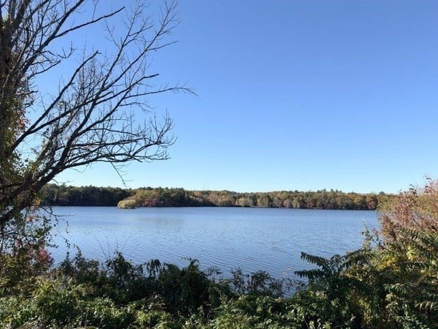 38 Lake Ave #1, Woburn, MA, 38 Lake Ave #1, Woburn, MA Photo #5