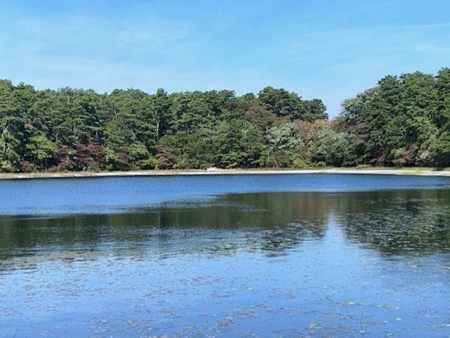 222 Buck Island Unit 54 RD #54, Yarmouth, MA, 222 Buck Island Unit 54 RD #54, Yarmouth, MA Photo #25