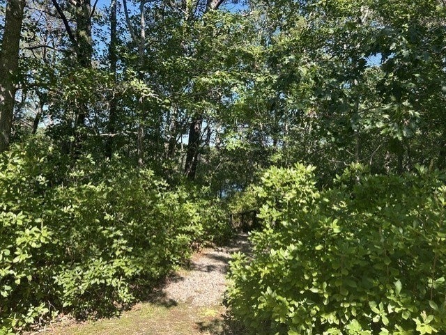 222 Buck Island Unit 54 RD #54, Yarmouth, MA, 222 Buck Island Unit 54 RD #54, Yarmouth, MA Photo #31