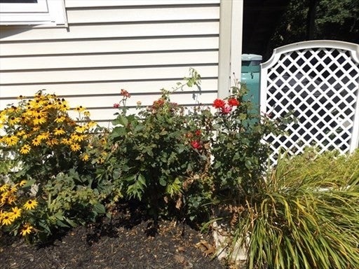 5 Milan Avenue #5, Woburn, MA Photo #30