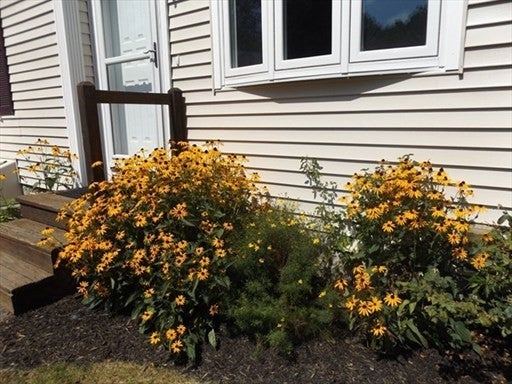 5 Milan Avenue #5, Woburn, MA Photo #29