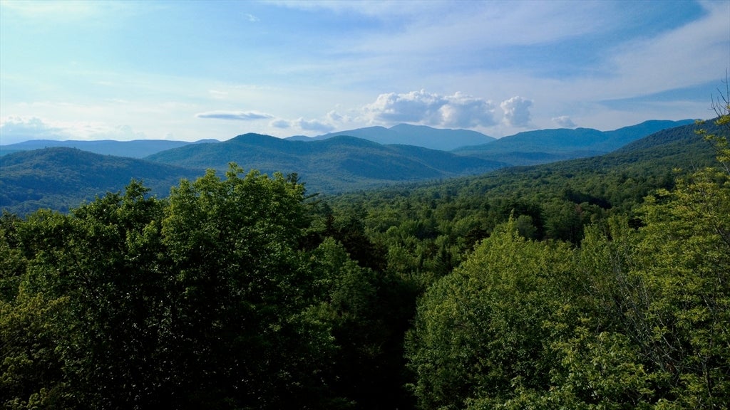 43 Jackson Highlands Road, Jackson, NH Photo #37