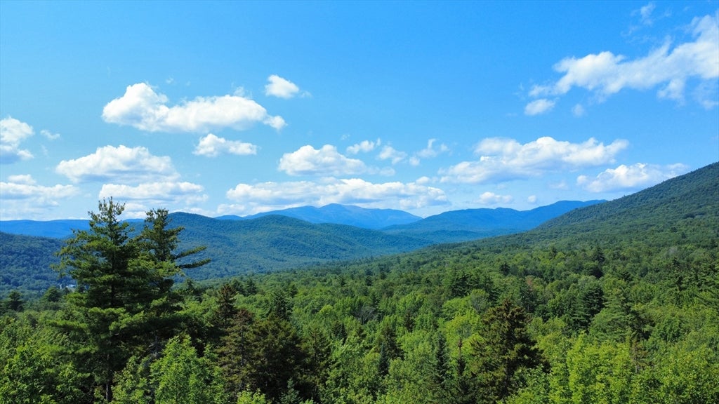 43 Jackson Highlands Road, Jackson, NH Photo #13