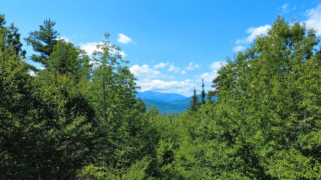 43 Jackson Highlands Road, Jackson, NH Photo #12