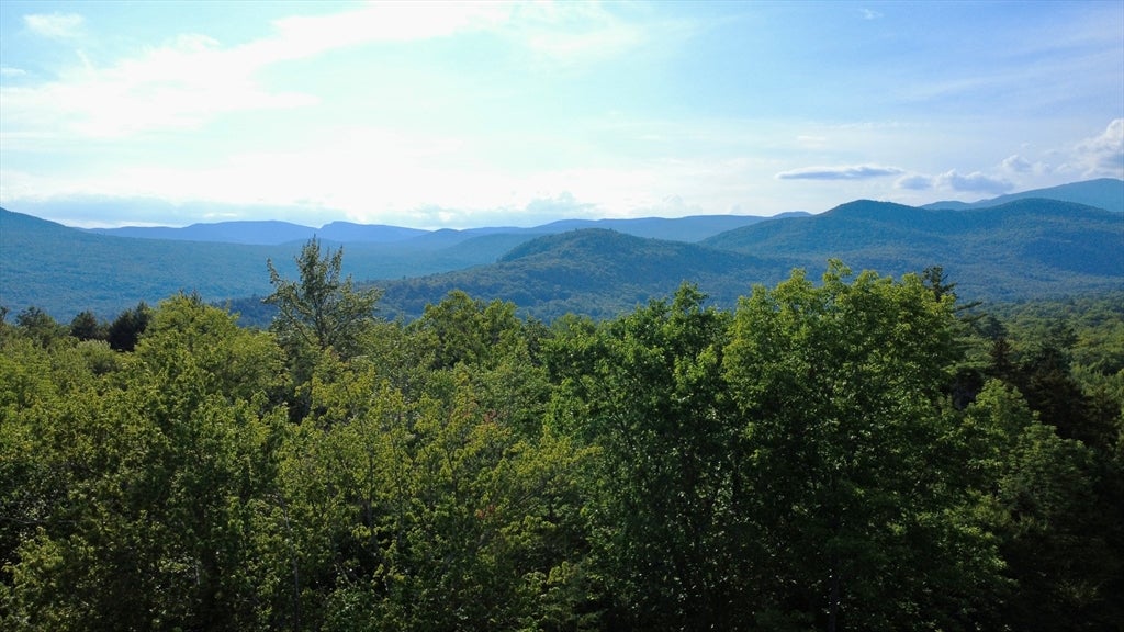 43 Jackson Highlands Road, Jackson, NH Photo #36