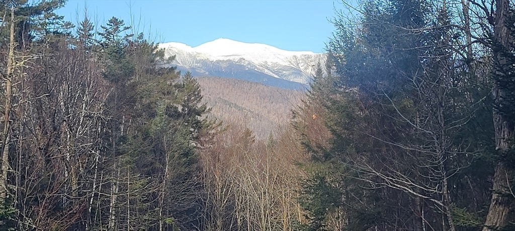 43 Jackson Highlands Road, Jackson, NH Photo #34