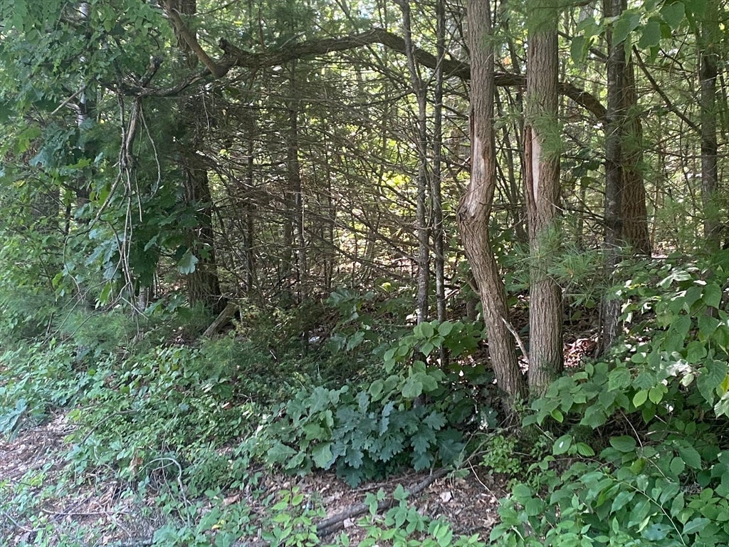 LT 73 73.1 Old Gilbertville Rd