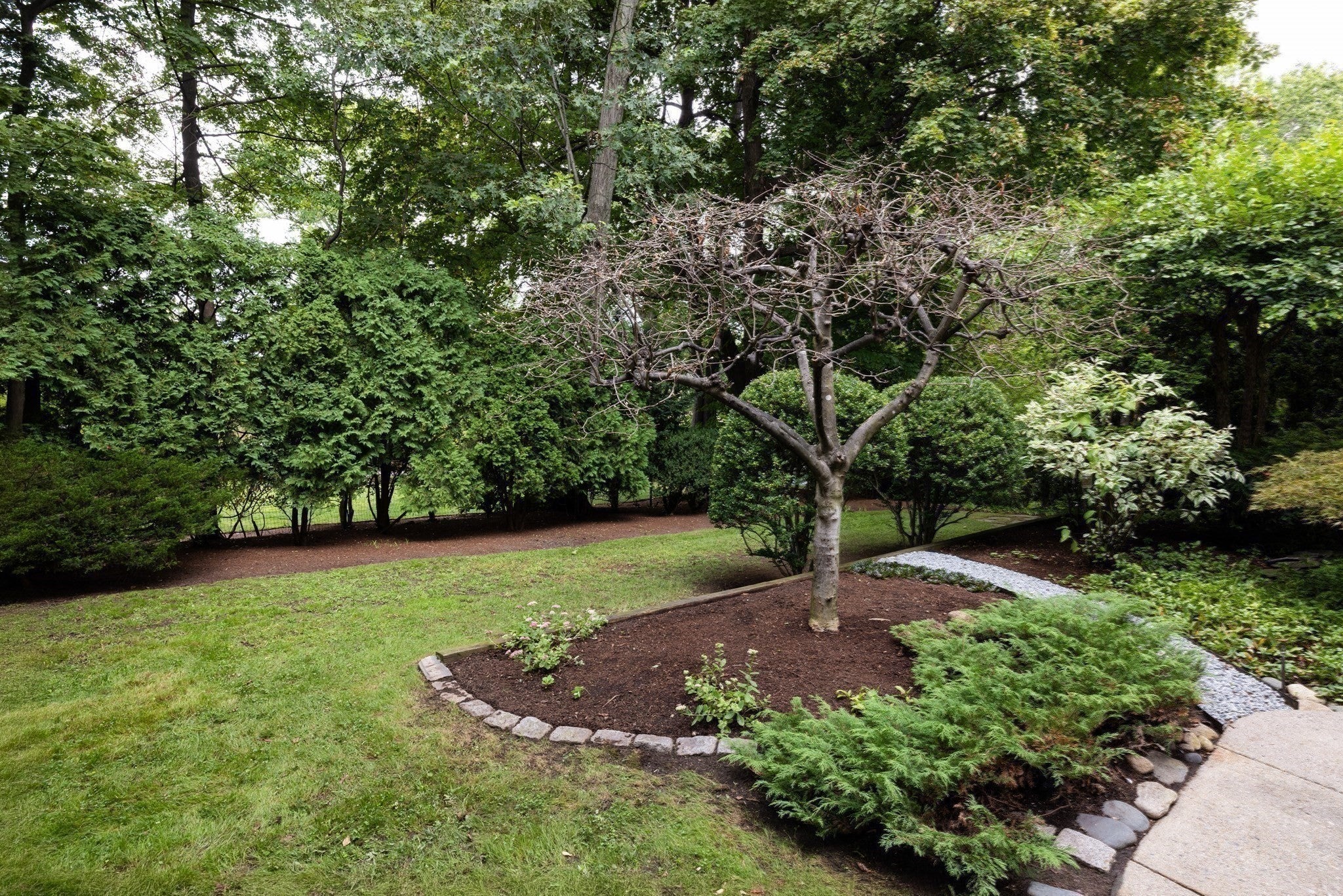 115 Dean Rd, Brookline, MA, 115 Dean Rd, Brookline, MA Photo #22