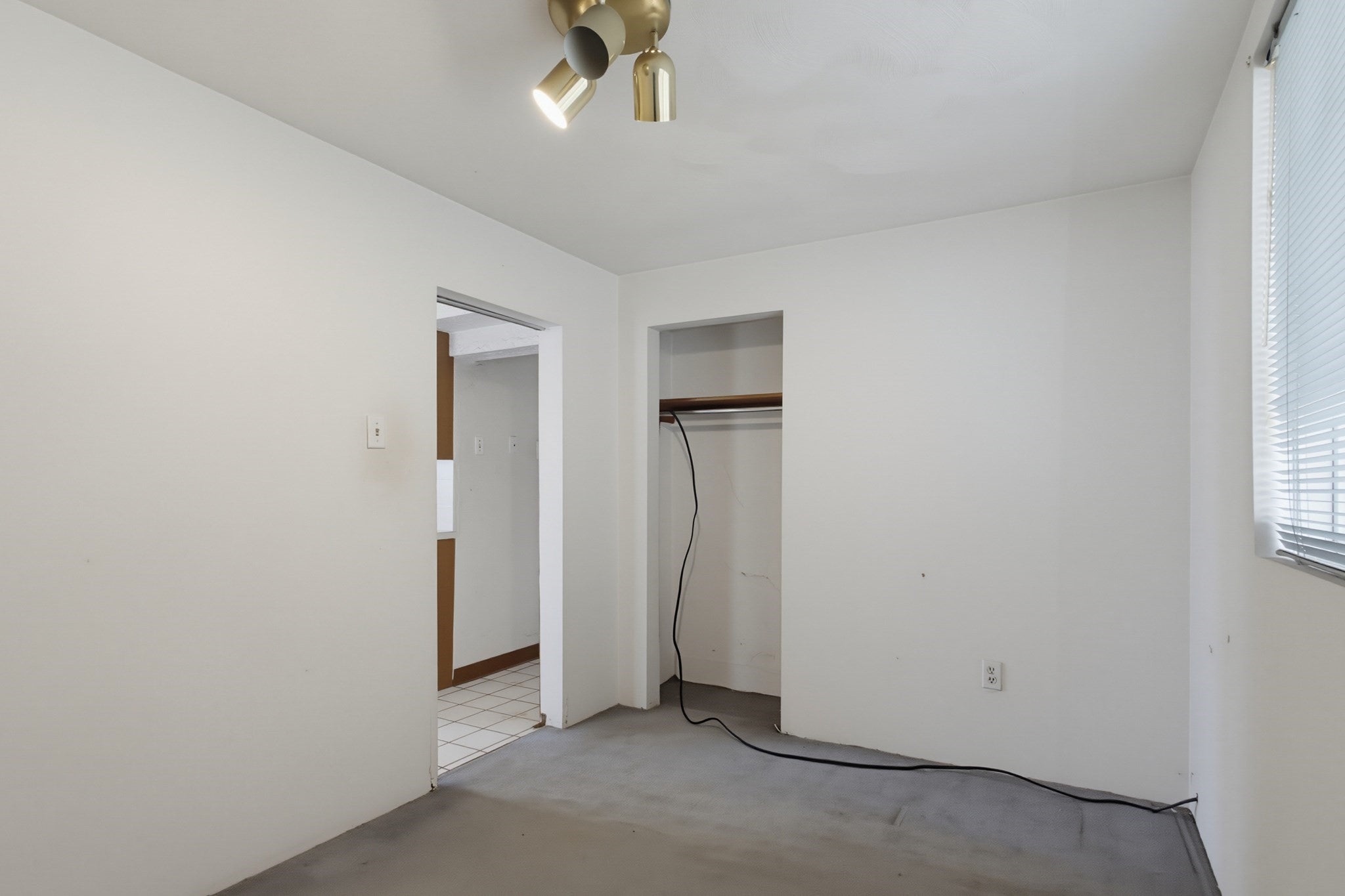 259 Havre St, Boston, MA Photo #24