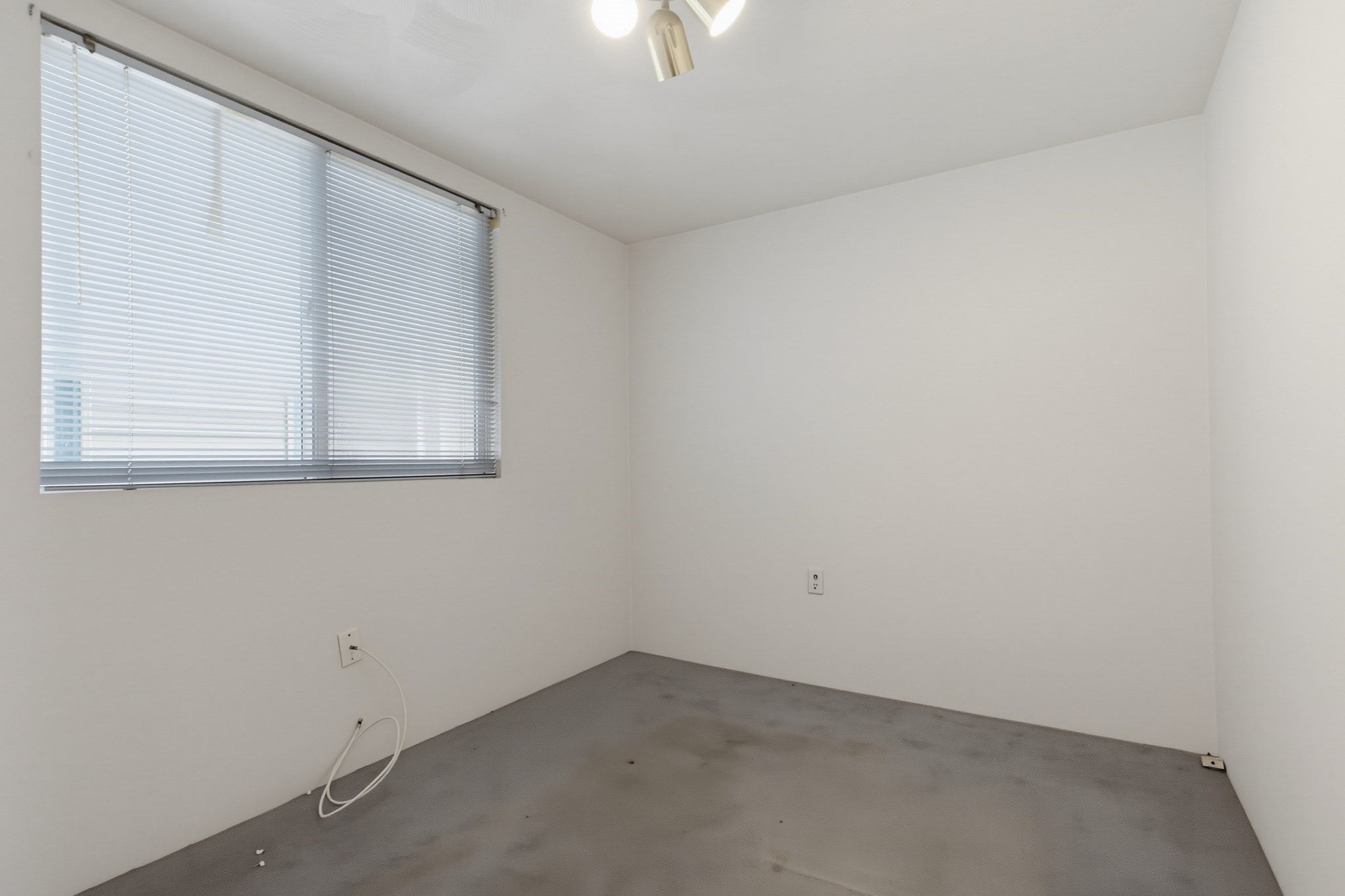 259 Havre St, Boston, MA Photo #23