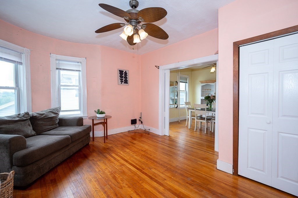 3 Arbor Vitae St.