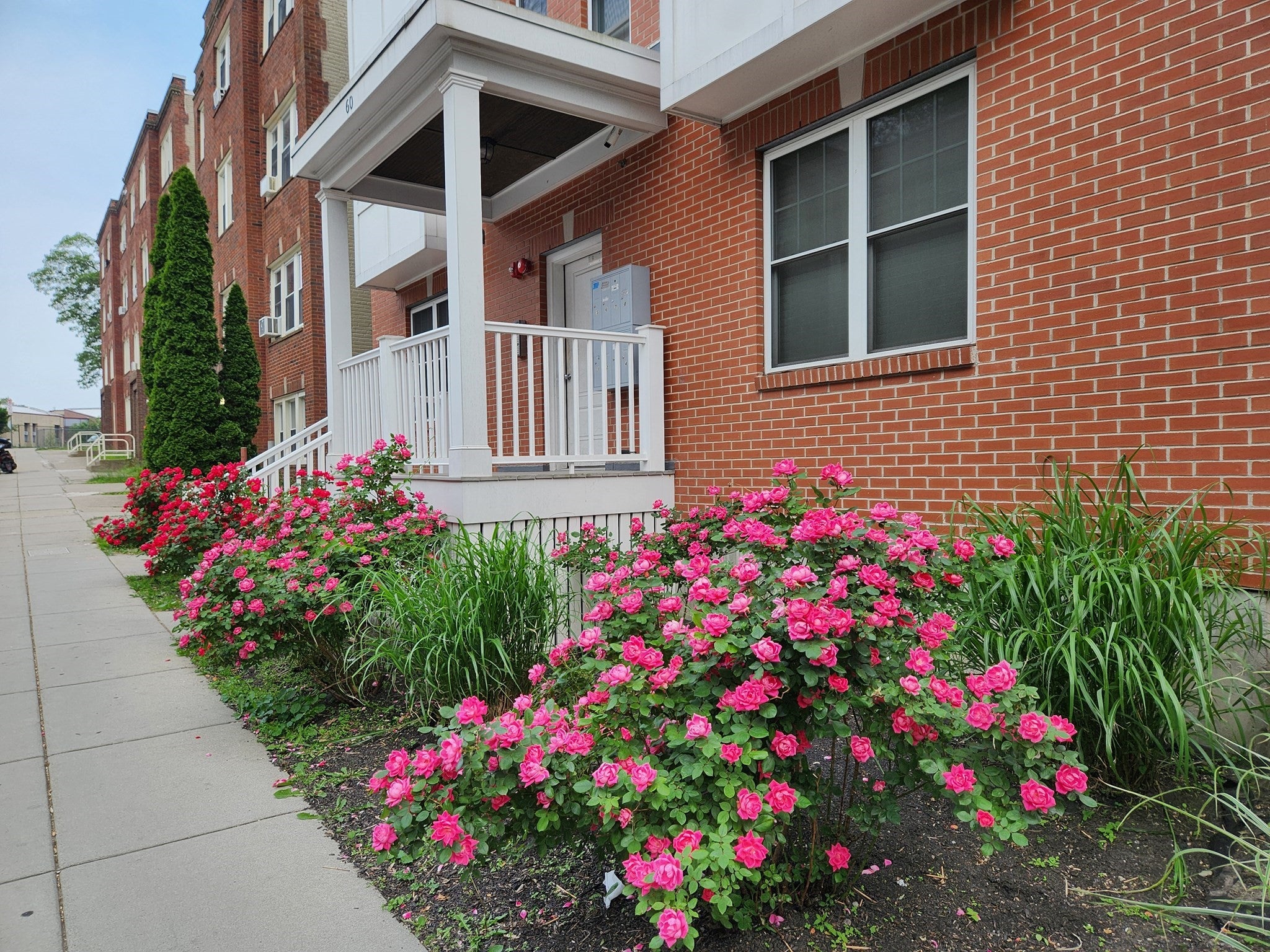 60 Holworthy ST #7, Boston, MA, 60 Holworthy ST #7, Boston, MA Photo #17