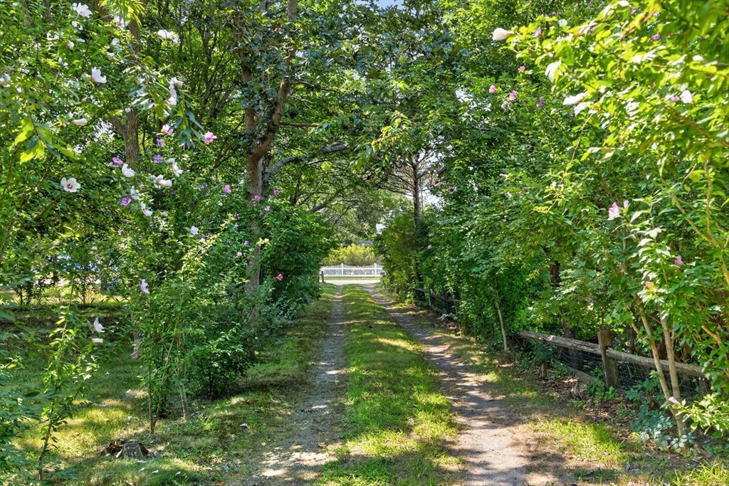 2 Bay View Rd, Dennis, MA Photo #30