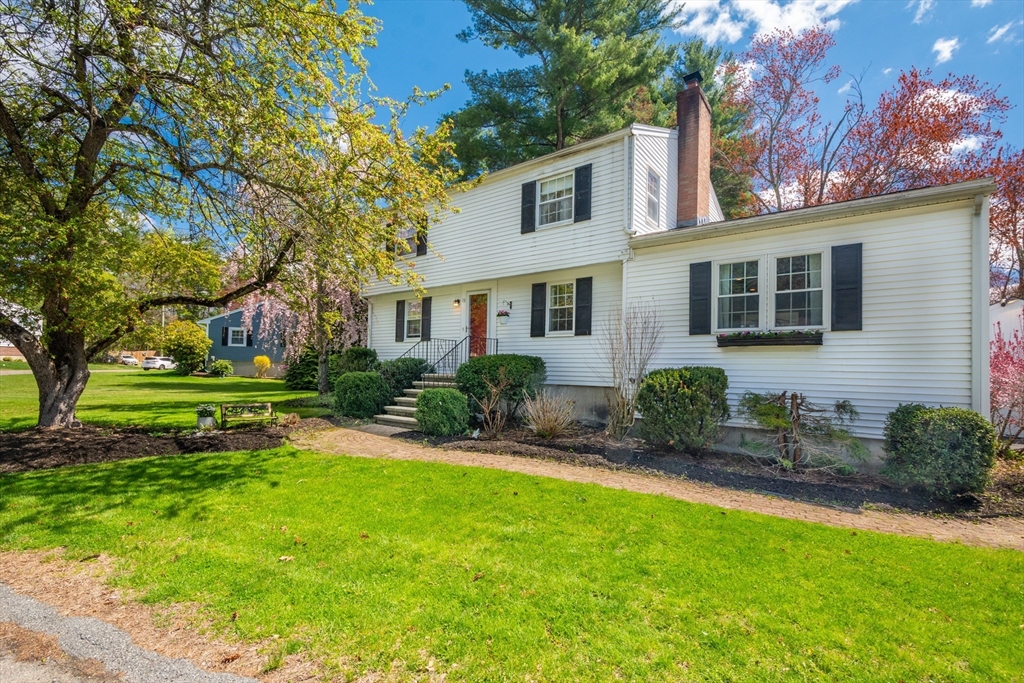 15 Williams Road