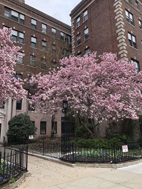 2003 Commonwealth Ave 16 Boston MA 02135