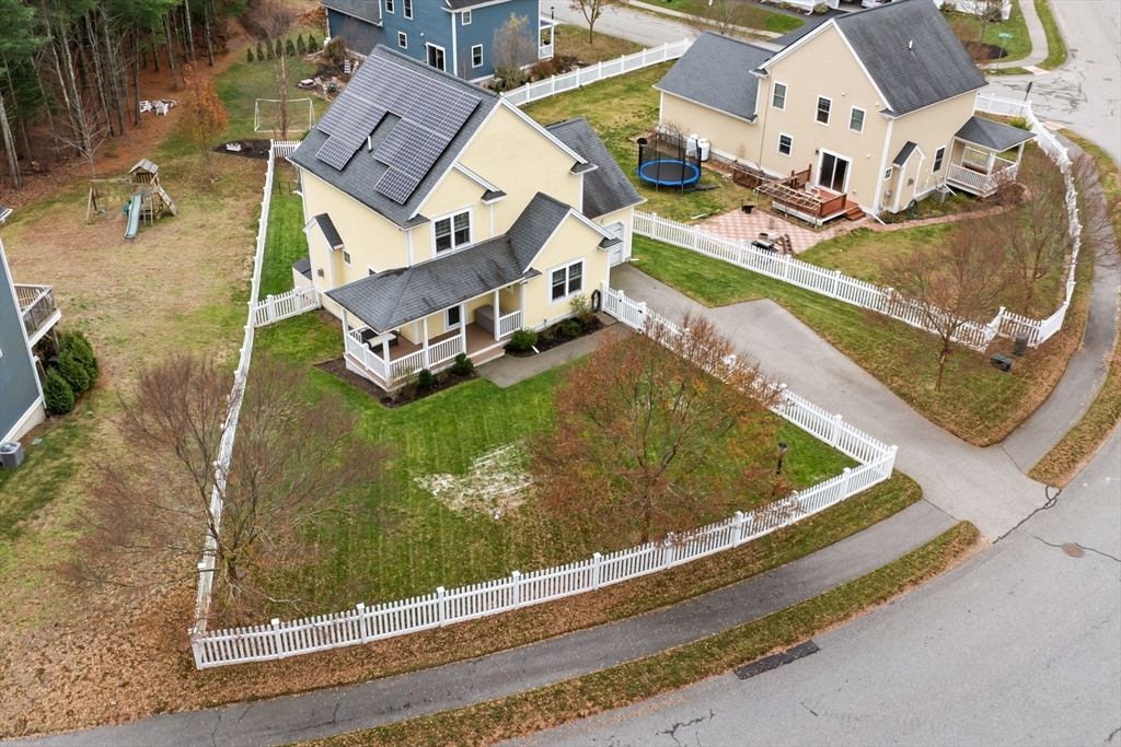 42 Christmas Tree Ln.