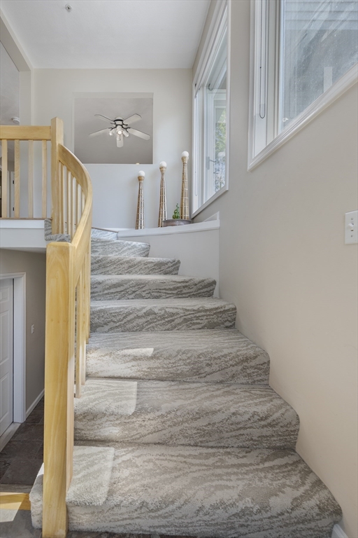 6 Good Hope Lane 159B