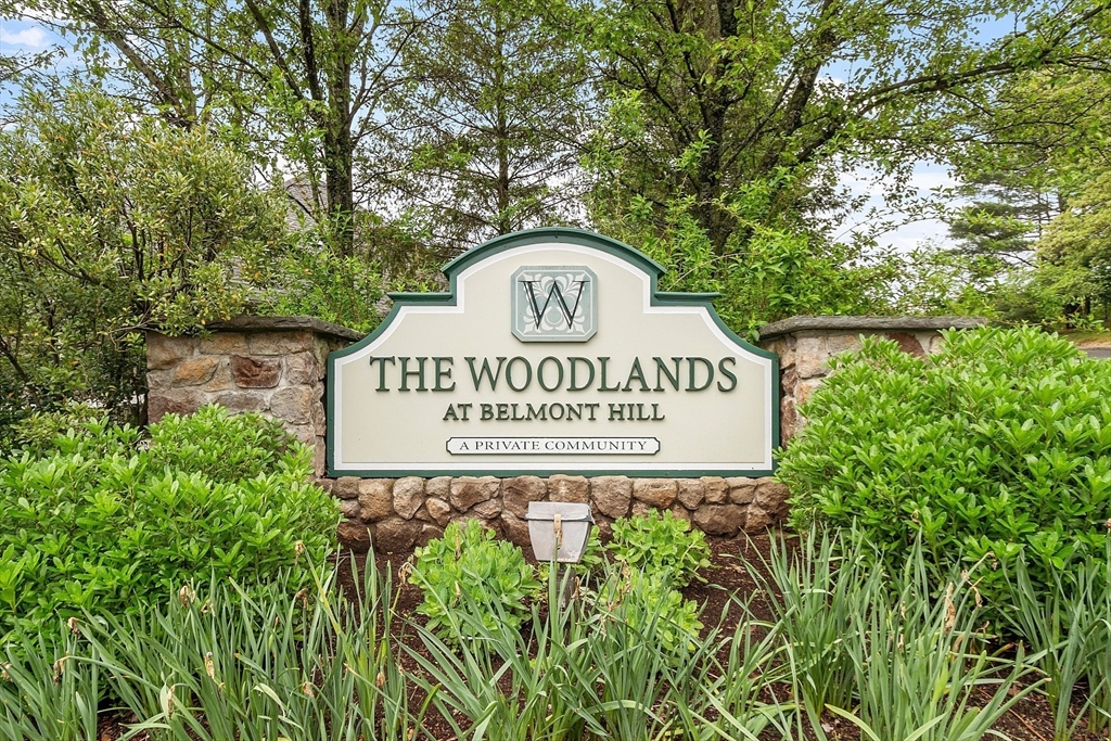 52 Summit Road 7