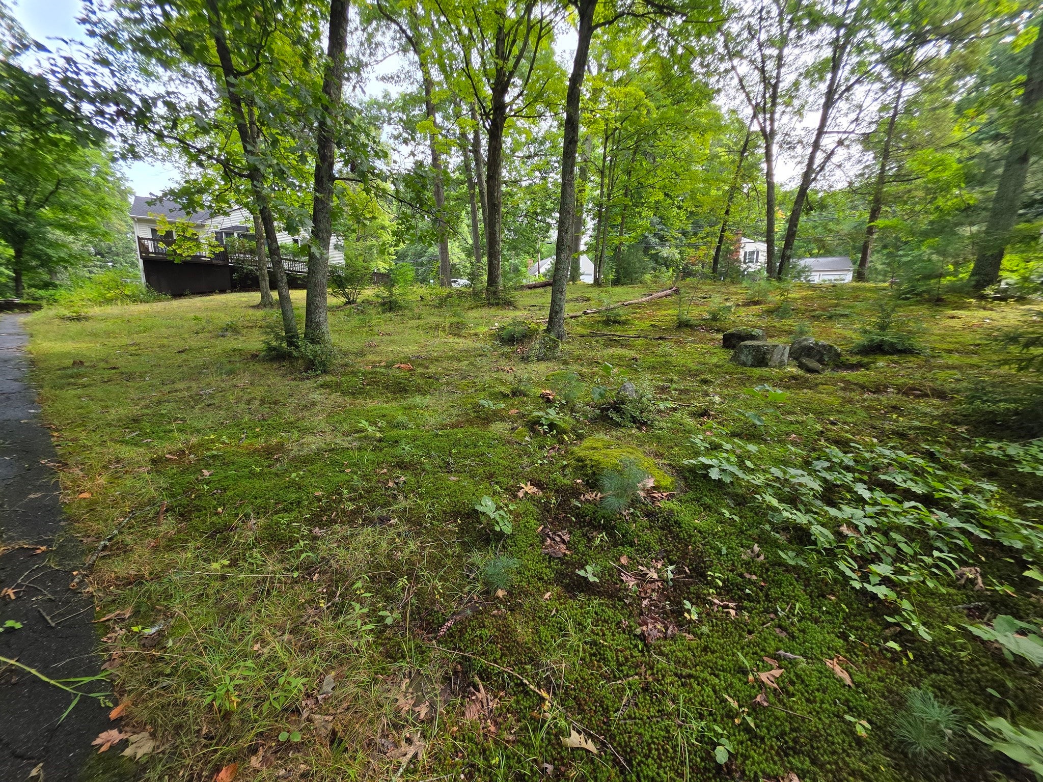 947 Main St, Wilbraham, MA, 947 Main St, Wilbraham, MA Photo #39