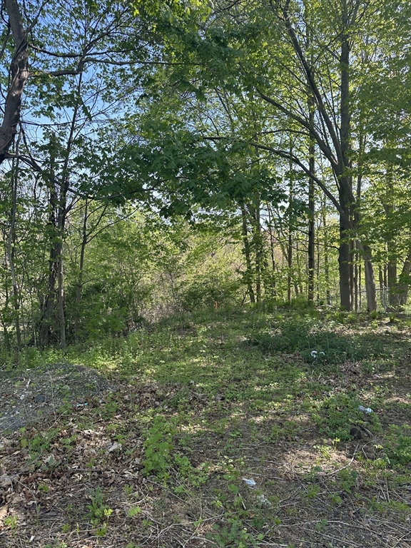 Lot 1 Hammond Street