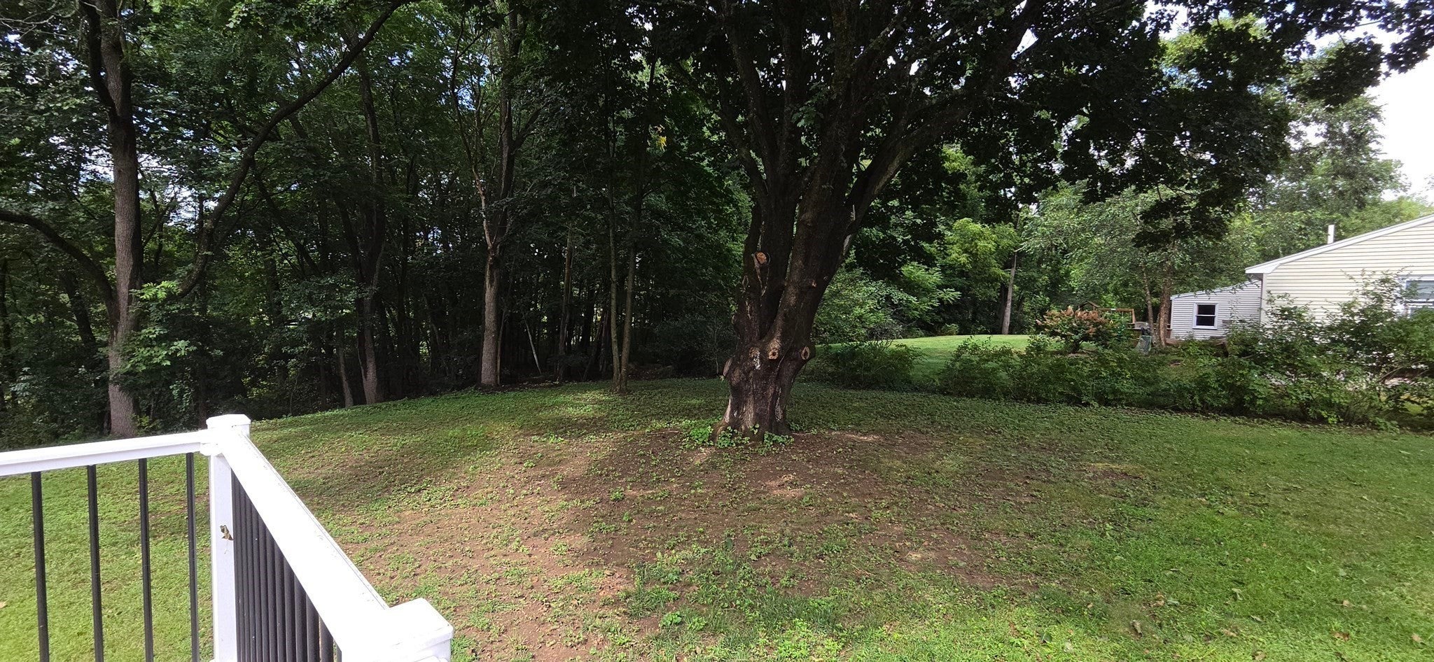 13 Delmar Rd, Medway, MA, 13 Delmar Rd, Medway, MA Photo #25