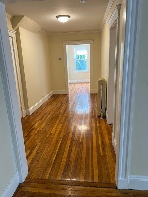 71 Palfrey Street #71, Watertown, MA, 71 Palfrey Street #71, Watertown, MA Photo #11