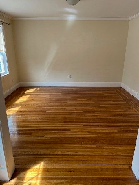 71 Palfrey Street #71, Watertown, MA, 71 Palfrey Street #71, Watertown, MA Photo #14