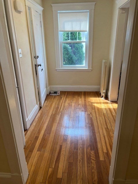71 Palfrey Street #71, Watertown, MA, 71 Palfrey Street #71, Watertown, MA Photo #13