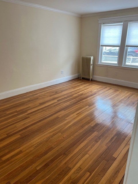 71 Palfrey Street #71, Watertown, MA, 71 Palfrey Street #71, Watertown, MA Photo #7