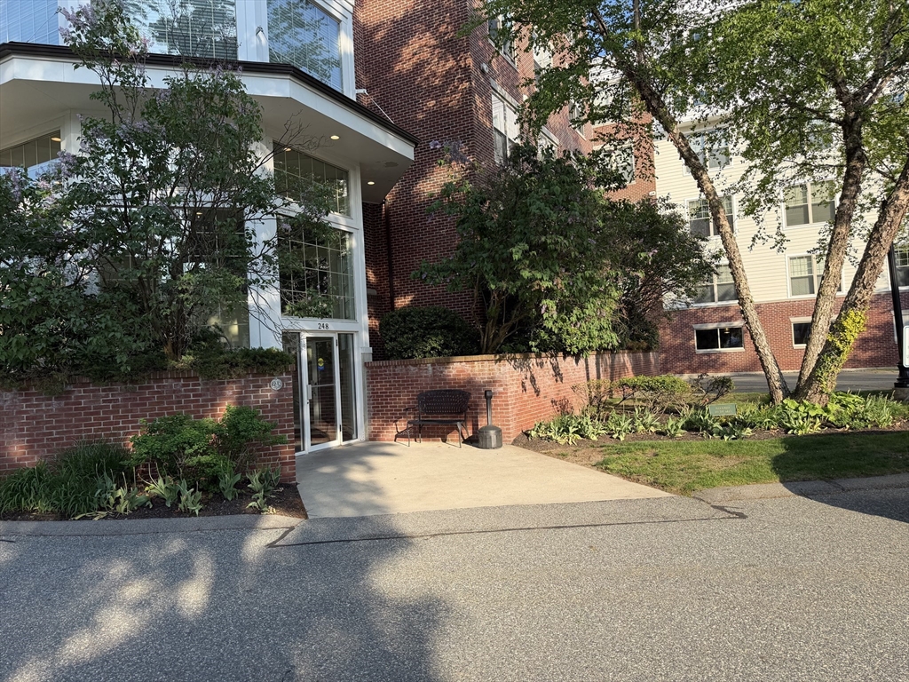 248 Albion Street 312