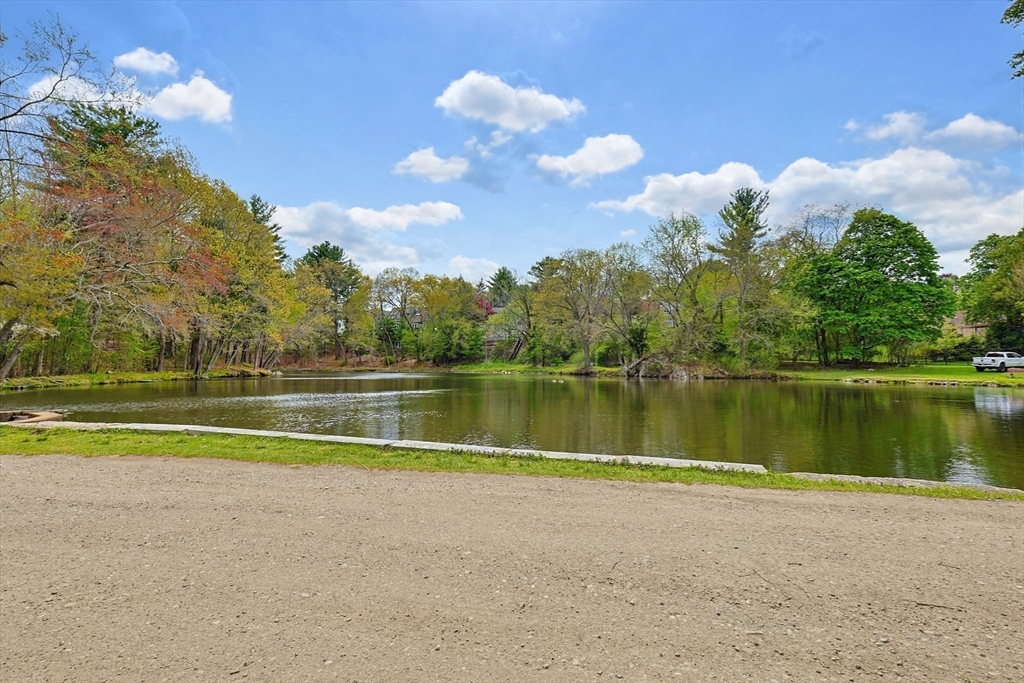 1362 Great Plain Ave #1, Needham, MA Photo #41