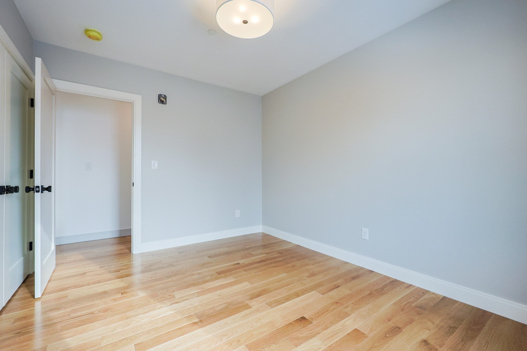 68 Rowe Street Unit1, Boston, MA Photo #13