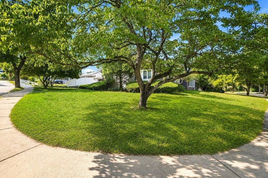 69 Maynard St, Newton, MA Photo #6