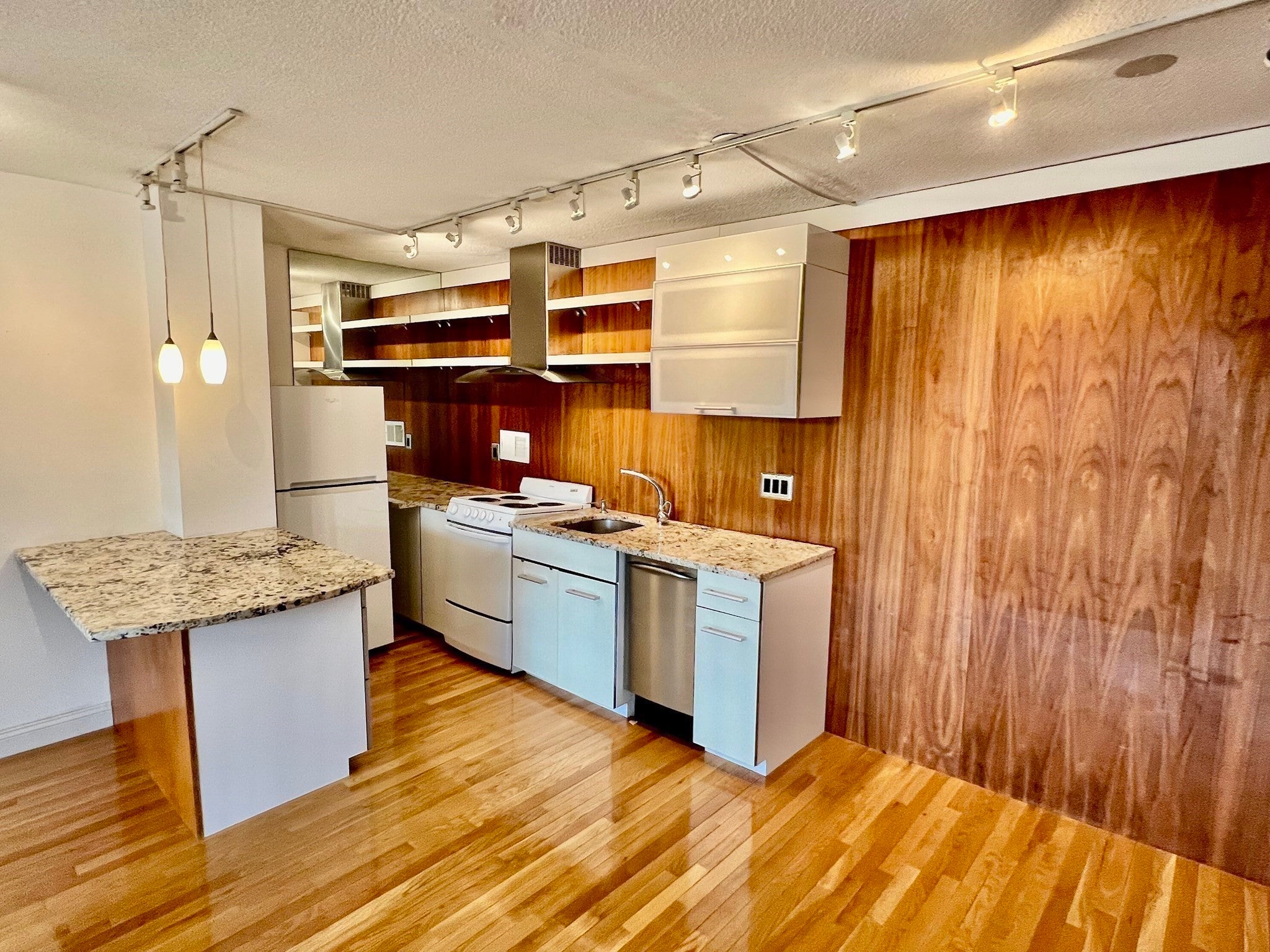 60 Longwood Avenue #306, Brookline, MA, 60 Longwood Avenue #306, Brookline, MA Photo #9