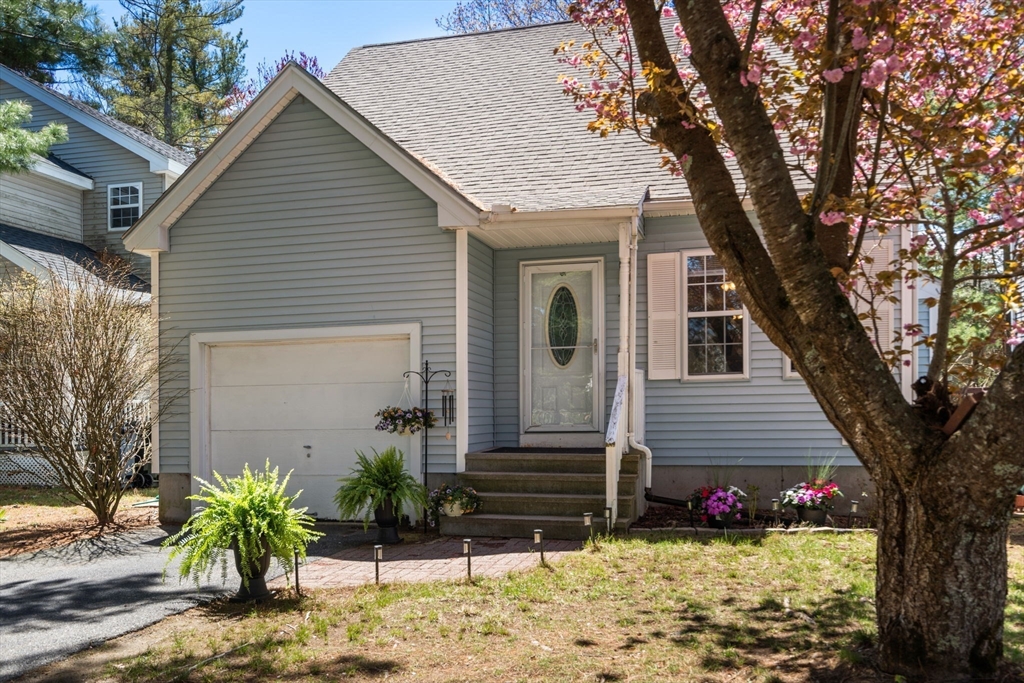 12 Magnolia Lane