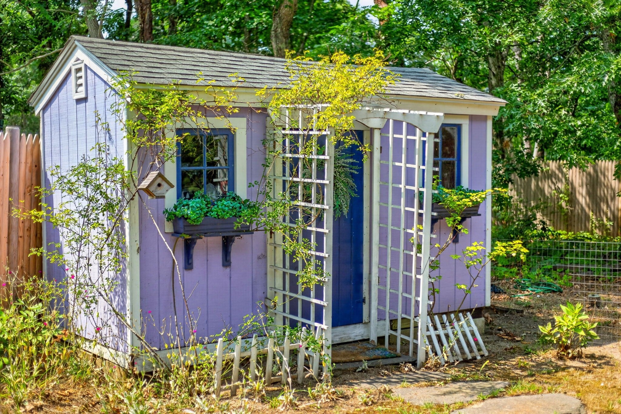 15 Alice Rd, Eastham, MA, 15 Alice Rd, Eastham, MA Photo #37