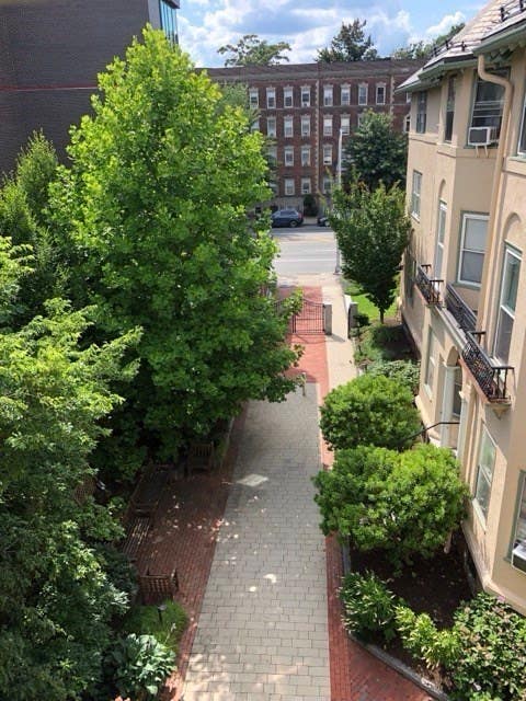 Photo of 1619 Massachusetts Ave #36, Cambridge, MA 02138 (MLS # 73561120)