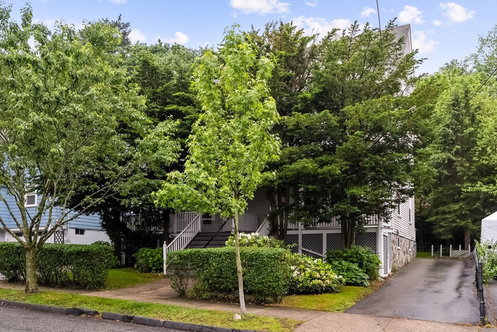 19-21 Harvard St
