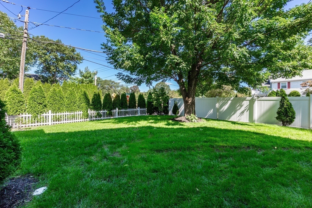 57 Walnut St, Newton, MA Photo #10