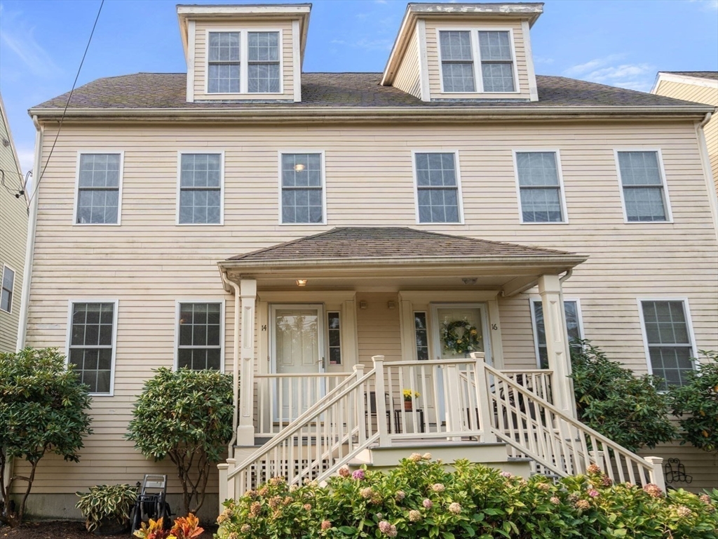14 Dacy St 12