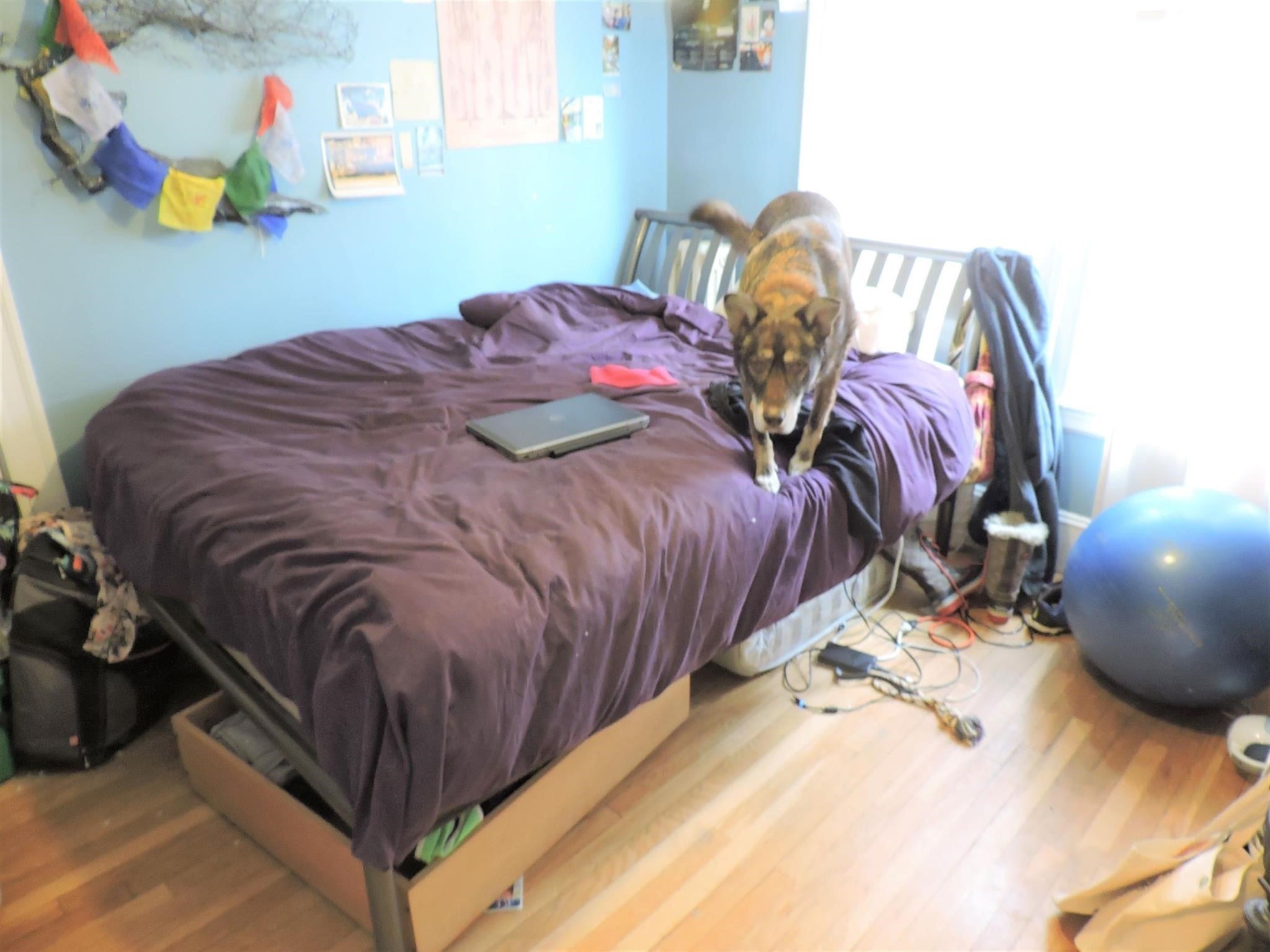 86 Henry St #1, Cambridge, MA Photo #8
