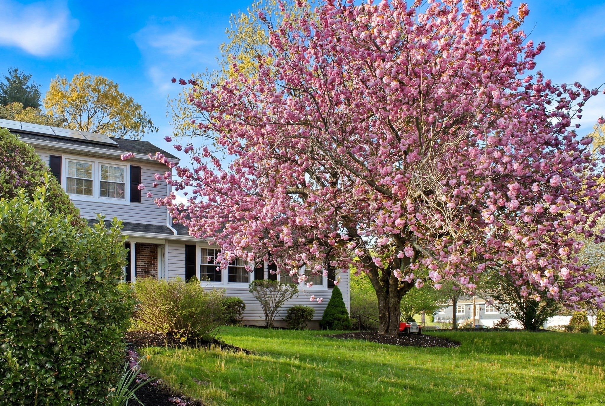 9 Sparhawk Dr.