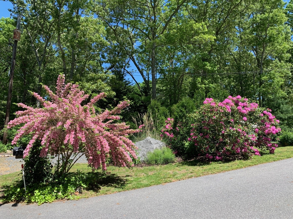 122 Salt Rock Rd, Barnstable, MA Photo #37