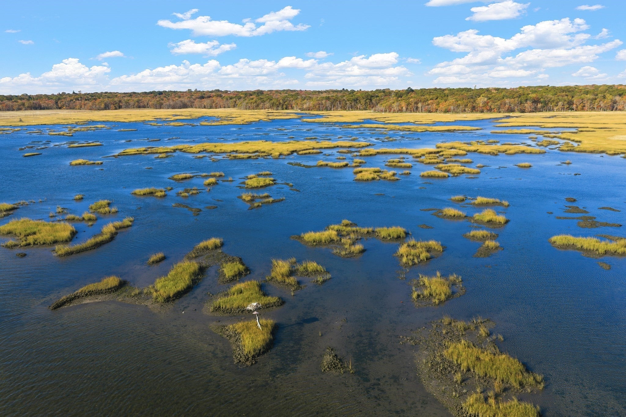 865 Smith Neck Rd, Dartmouth, MA, 865 Smith Neck Rd, Dartmouth, MA Photo #31