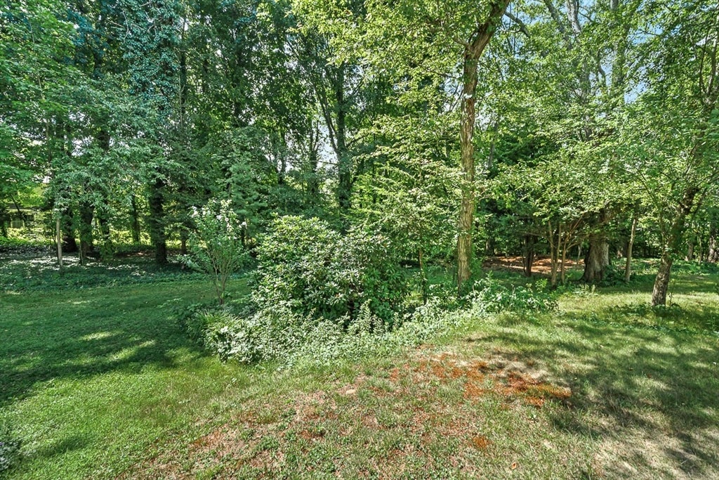 53 Elmwood Rd