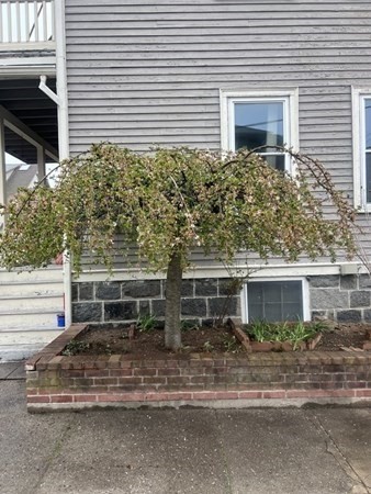 168 Brook Rd 2