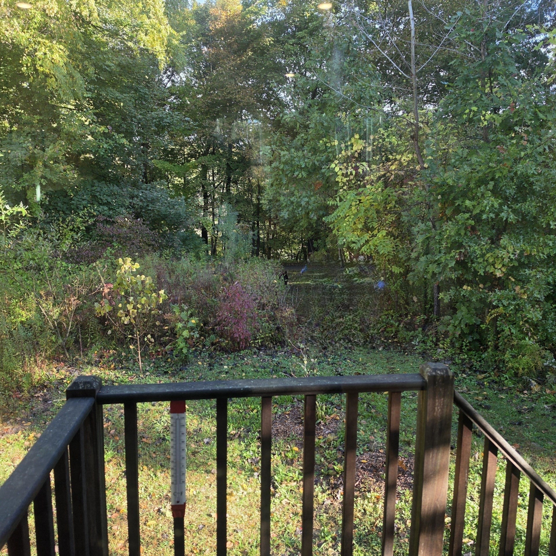 117 Olander Dr #17B, Northampton, MA, 117 Olander Dr #17B, Northampton, MA Photo #20