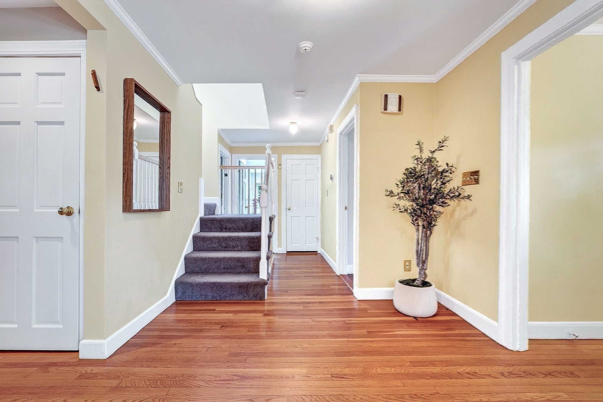 22 Nardell Rd, Newton, MA, 22 Nardell Rd, Newton, MA Photo #24